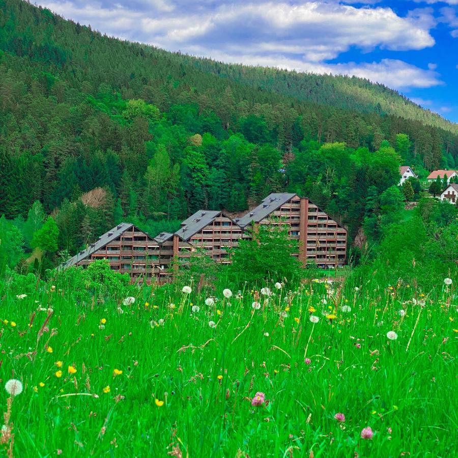 Ferienwohnung Guenter Im Tonbachtal بيرسبرون المظهر الخارجي الصورة
